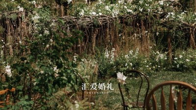 受自然的邀请，造一座晓岛，为你种下一片森林
