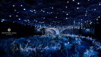 一场充满了奇幻意境的蓝色系星夜森林婚礼
