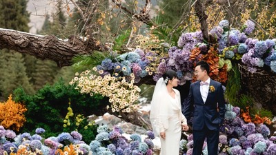 生机勃勃且五彩斑斓的绣球花主题目的地婚礼